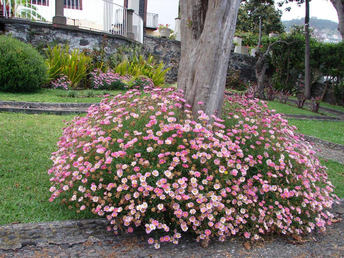 Romantic Studio Funchal (Madeira) Exterior foto